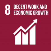 UN Development goal 8: Decent work and economic growth